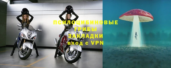 стафф Алексин