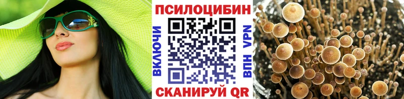 Псилоцибиновые грибы MAGIC MUSHROOMS  где продают   Елабуга 