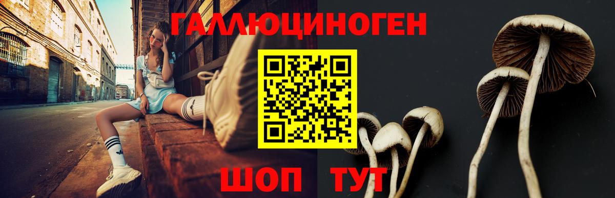 Галлюциногенные грибы Psilocybine cubensis  Галлюциногенные грибы GOLDEN TEACHER  Елабуга  даркнет сайт  Вход с VPN 